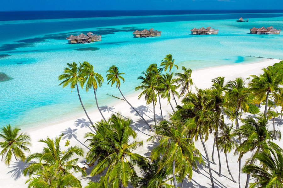 brief introduction about maldives tourism industry