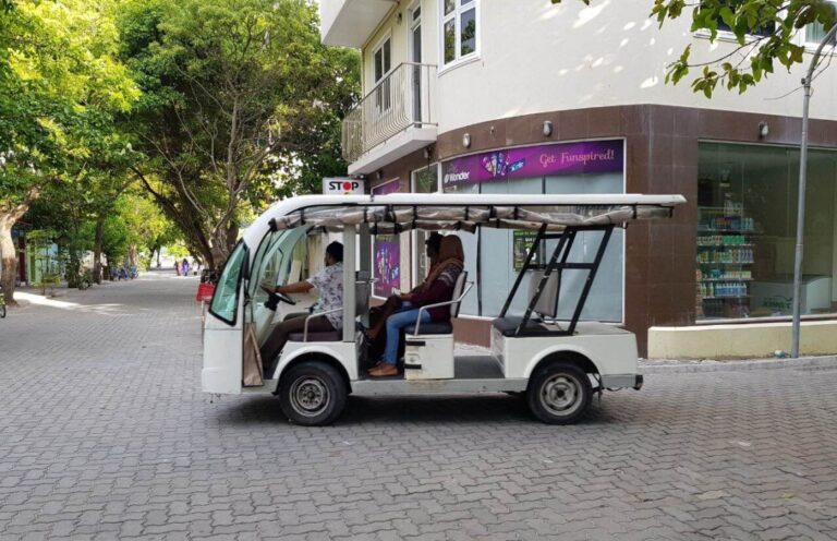 Court orders injunction on Vilimale’ buggy service termination