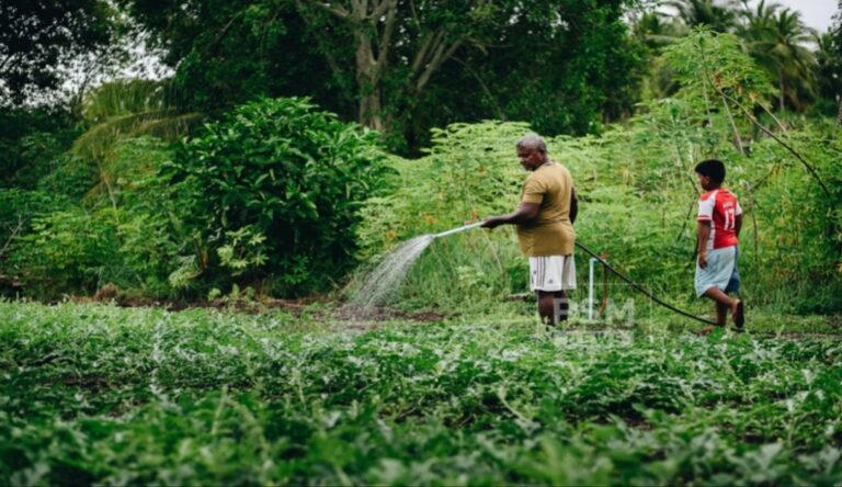Maldives Agricultural Ministry Launches Island Pilot Programs Ahead of Fushidhiggaru Falhu Mega Project