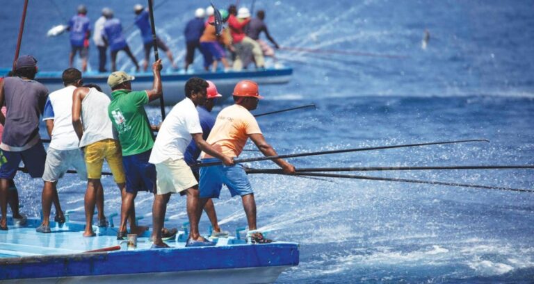 MIFCO Pays USD 733,000 to Fishermen for June Catch